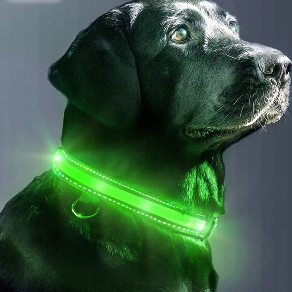 Other - Lightweight LED Light Dog Pet Safety Collar USB Rechargeable Stripe Green Large